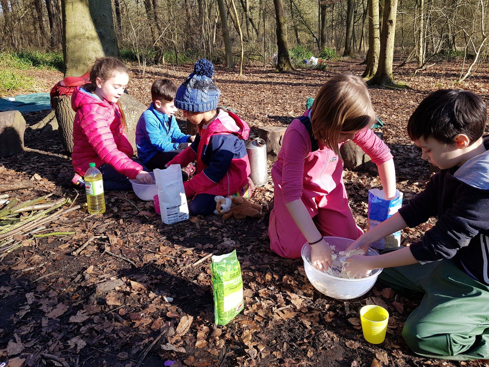 Acorn’s Home Educated Forest School Sessions Top Image