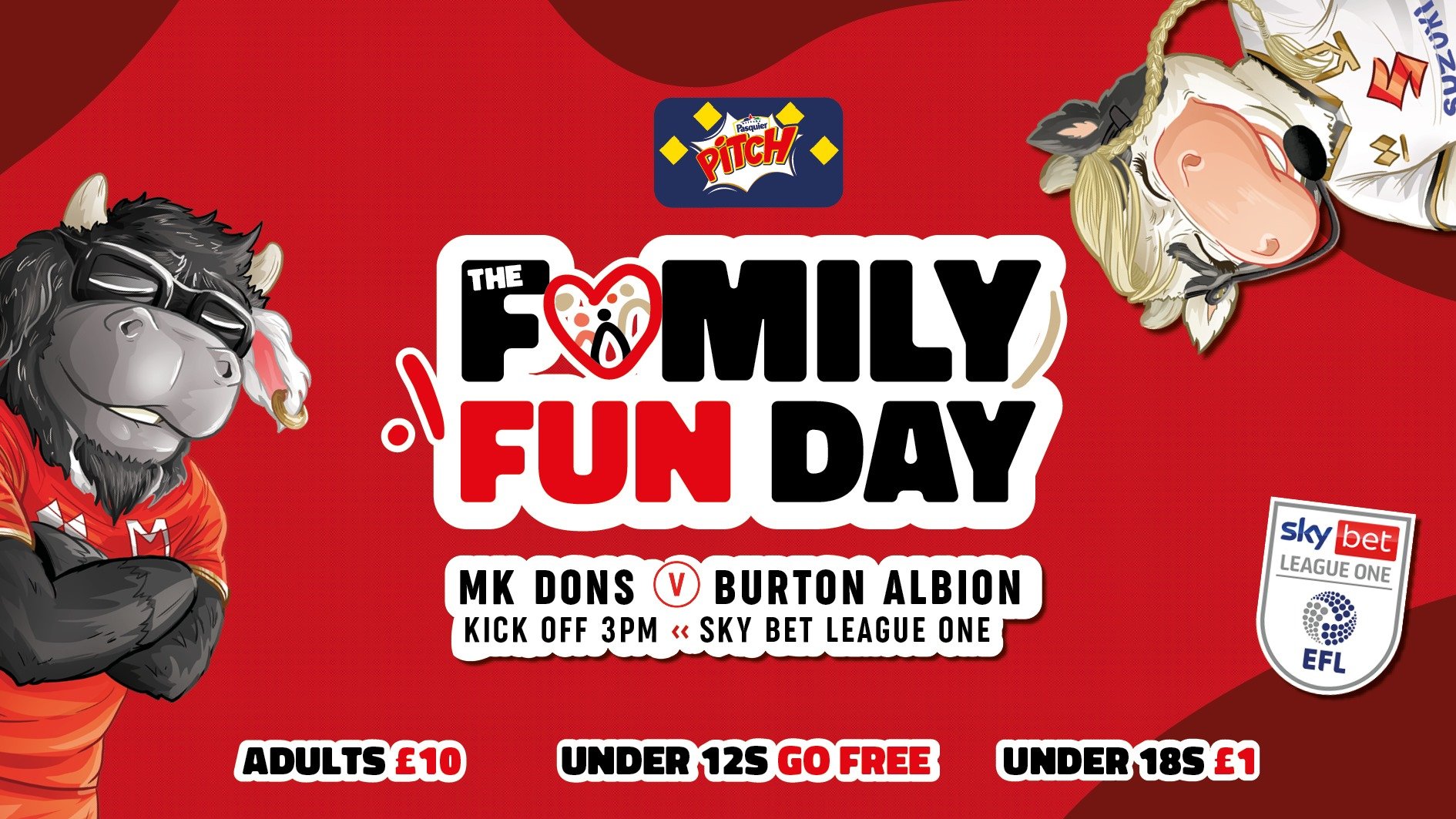 MK Dons Family Fun Day Top Image