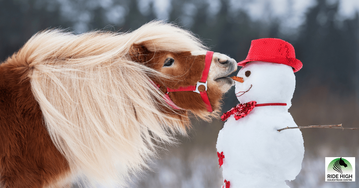 Christmas Pony Hour & Meet Father Christmas Top Image