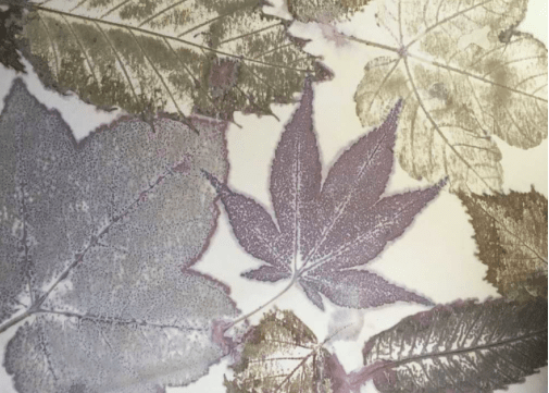 Eco Printing – Exploring the Magic and Alchemy with Fiona Balding Top Image