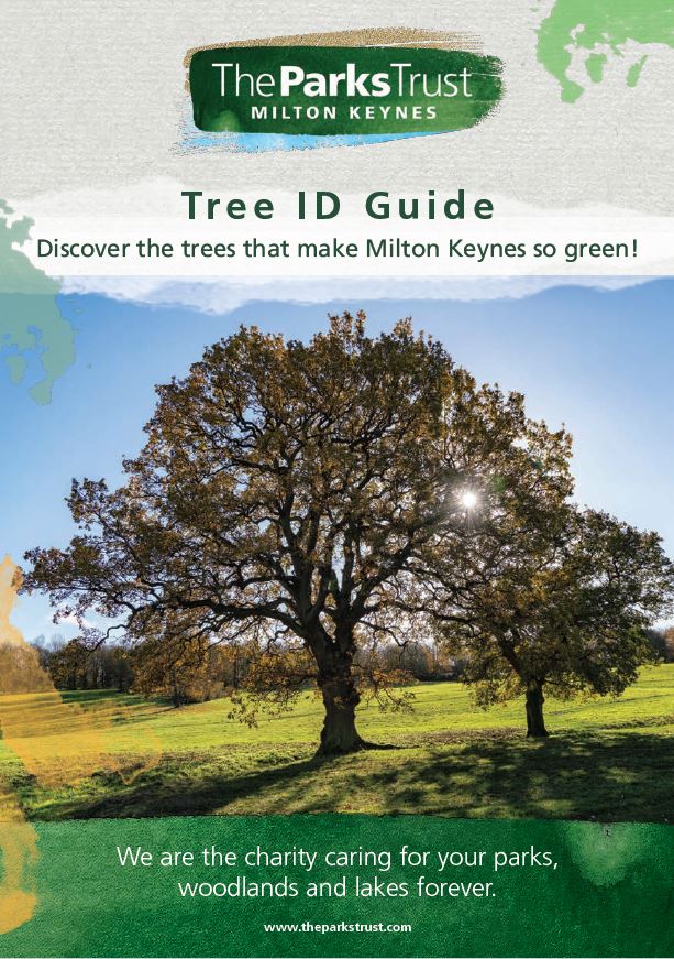 Celebrate National Tree Week by Learning Tree ID