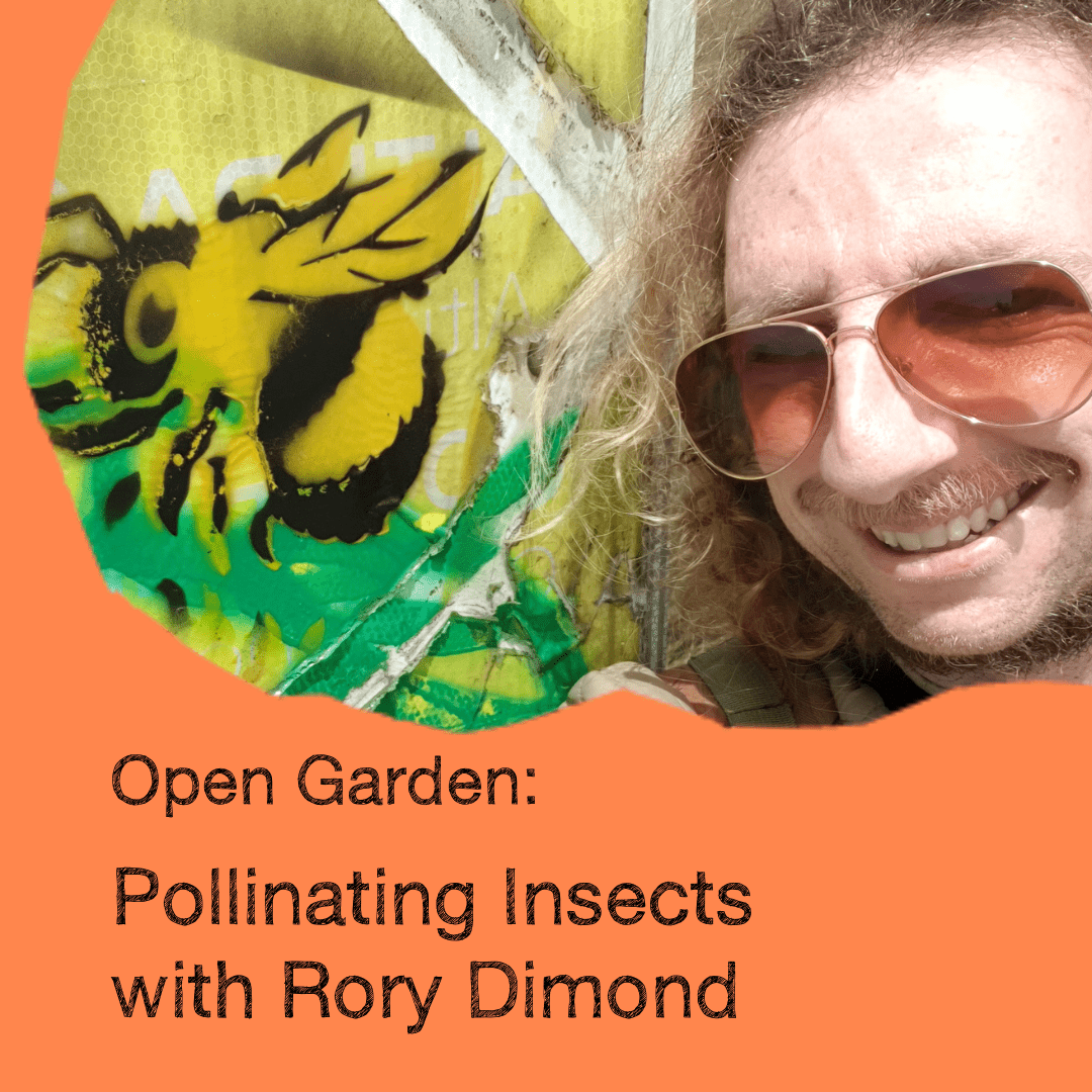 Open Garden Talk Series: Pollinating Insects with Rory Dimond Top Image