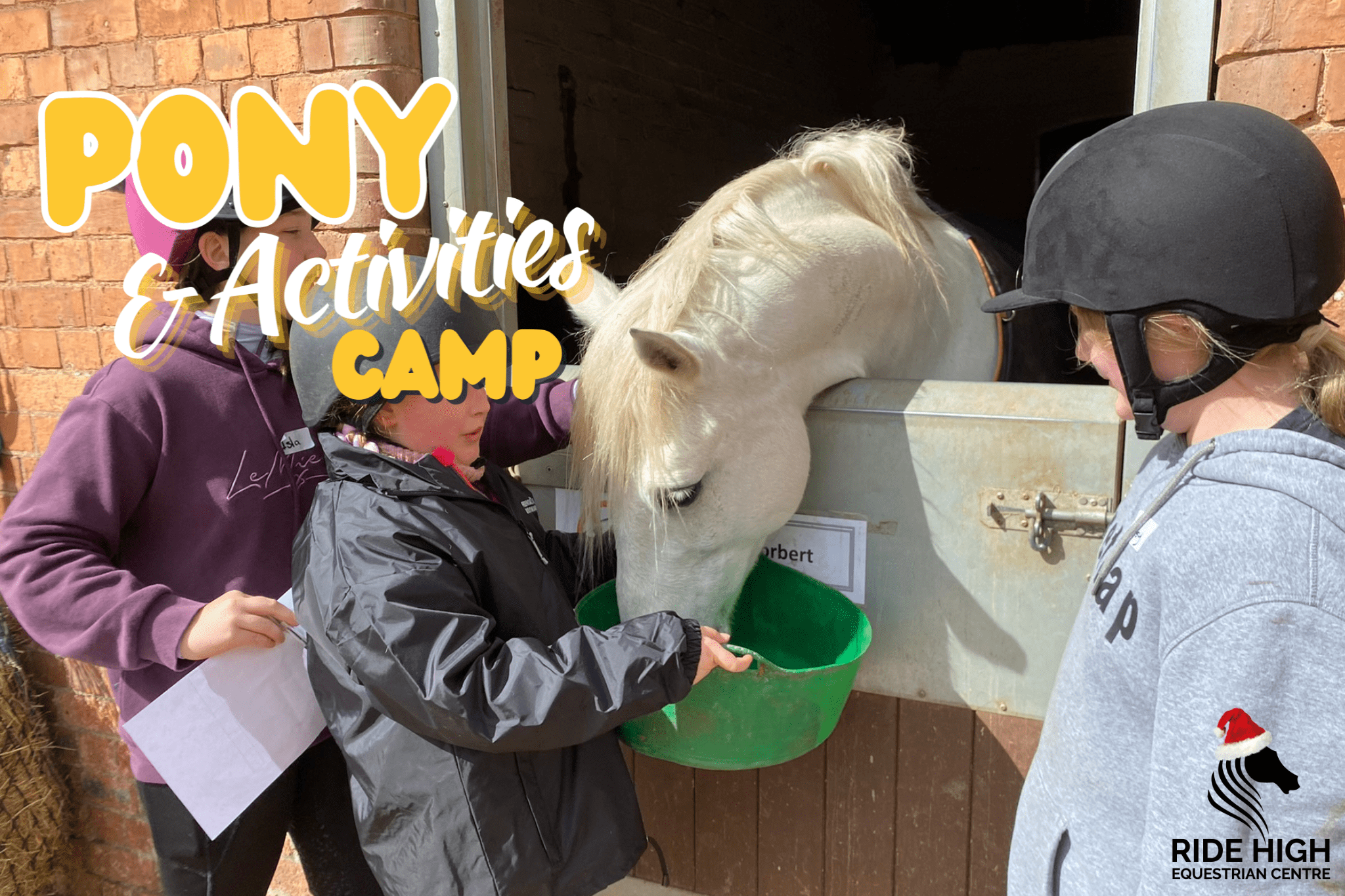 Pony & Activities Camp Top Image