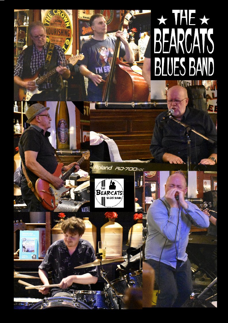 Bearcats Blues Band BIG BLUES NIGHT Top Image