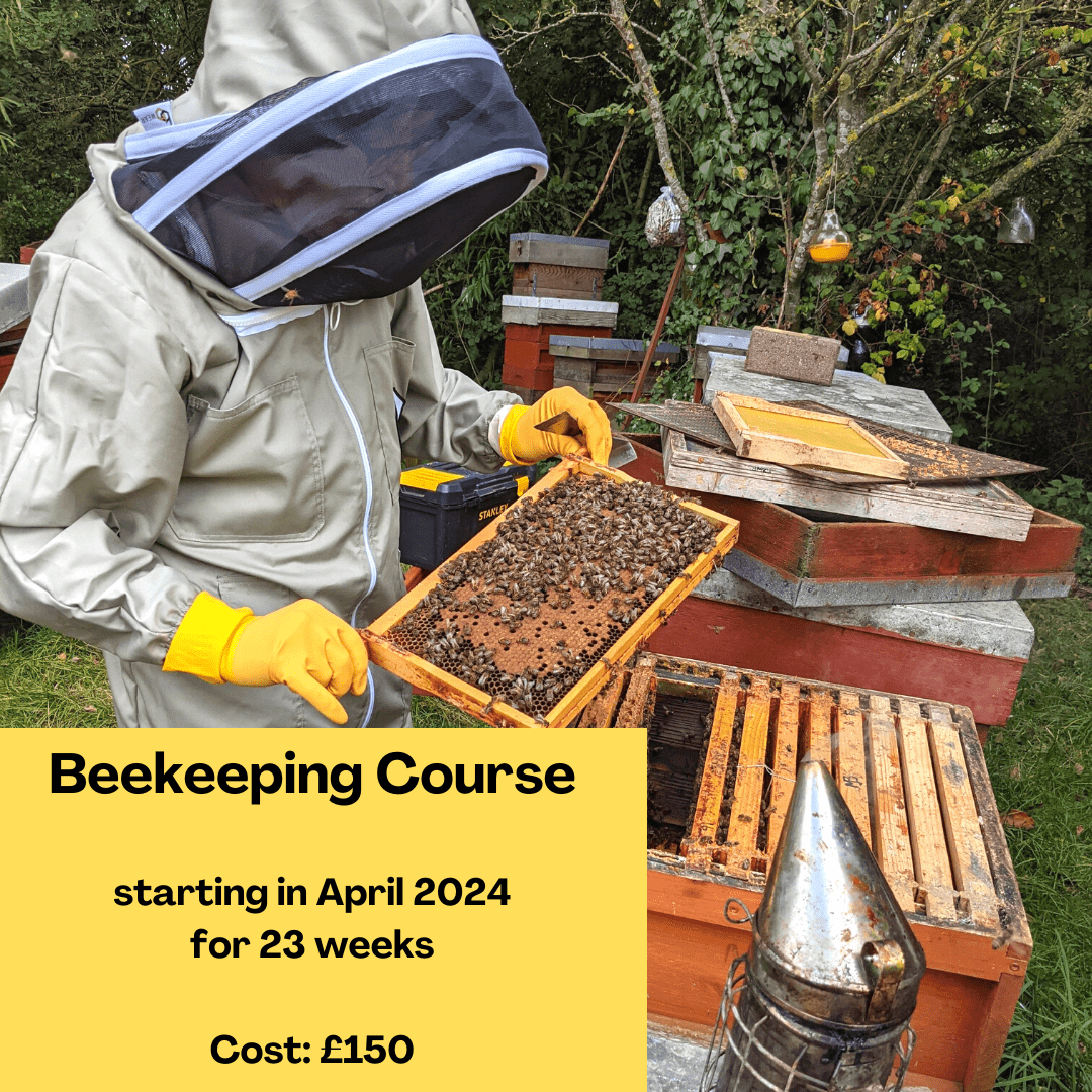 Beekeeping Course Top Image