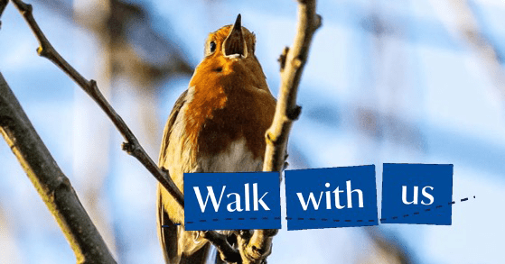 Early Bird ‘Dawn Chorus’ Walk at Stowe Gardens