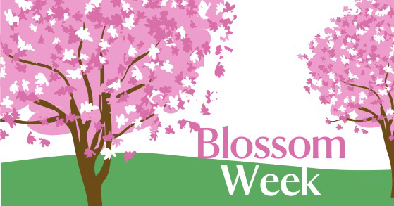 Blossom Week
