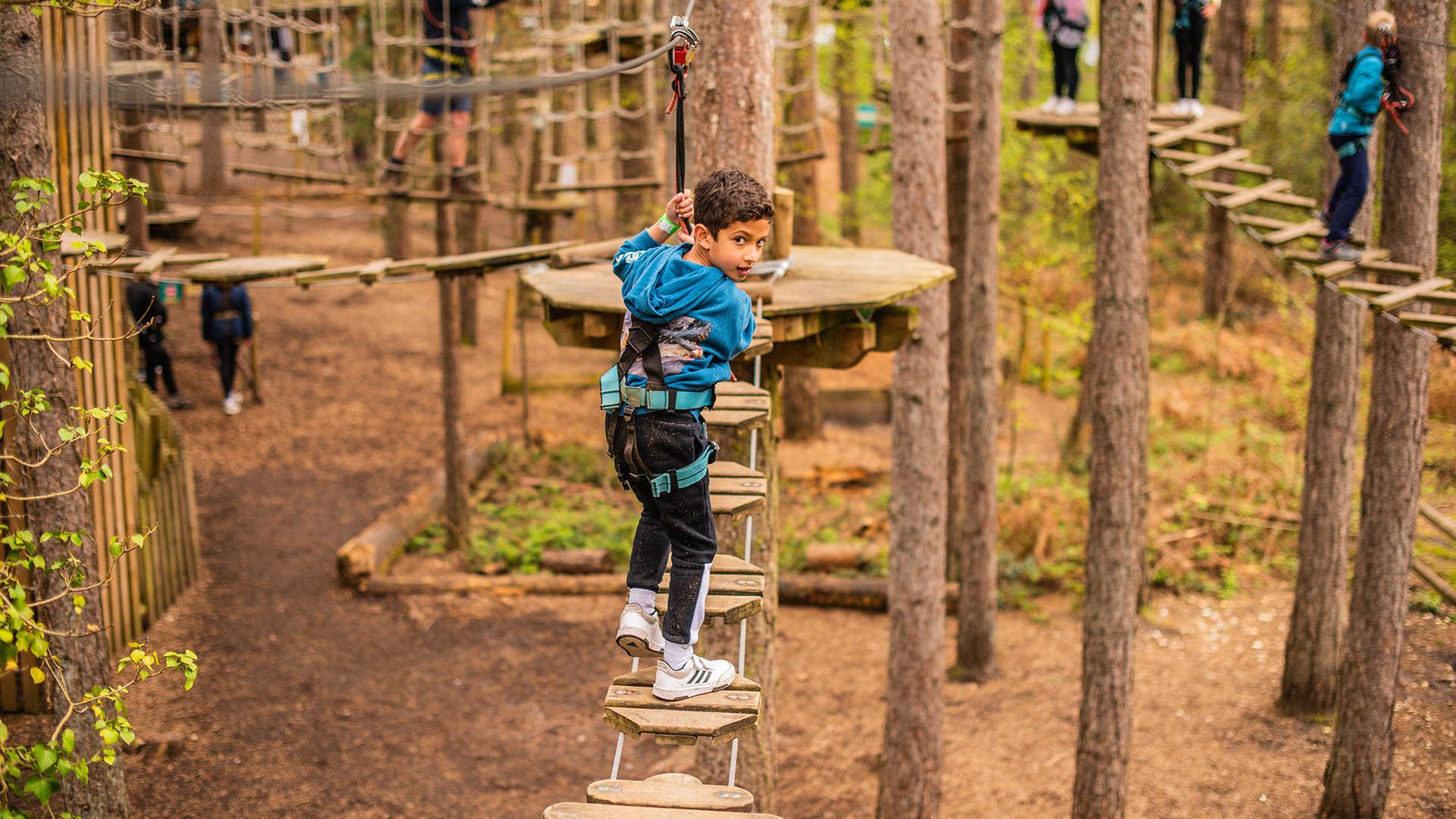Go Ape – Salcey Forest Top Image