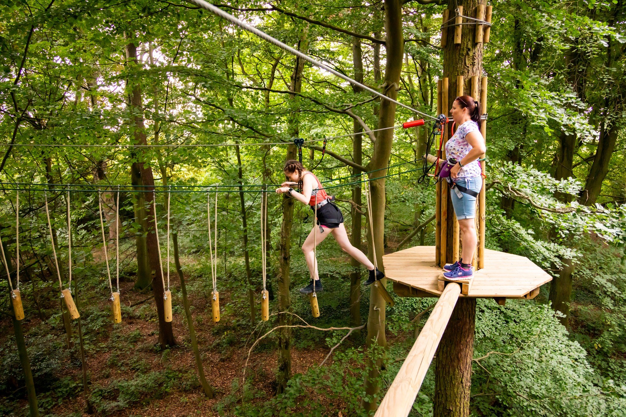 Go Ape’s new Salcey Forest location is now open